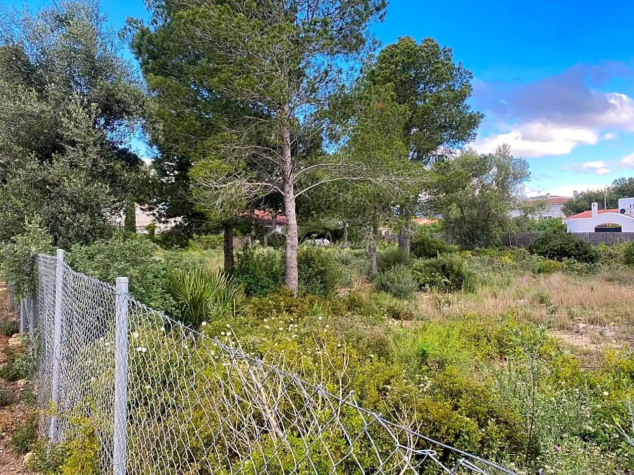 Terrenos y solares en venta en Urbanització San Jorge S Casti, imagen 2