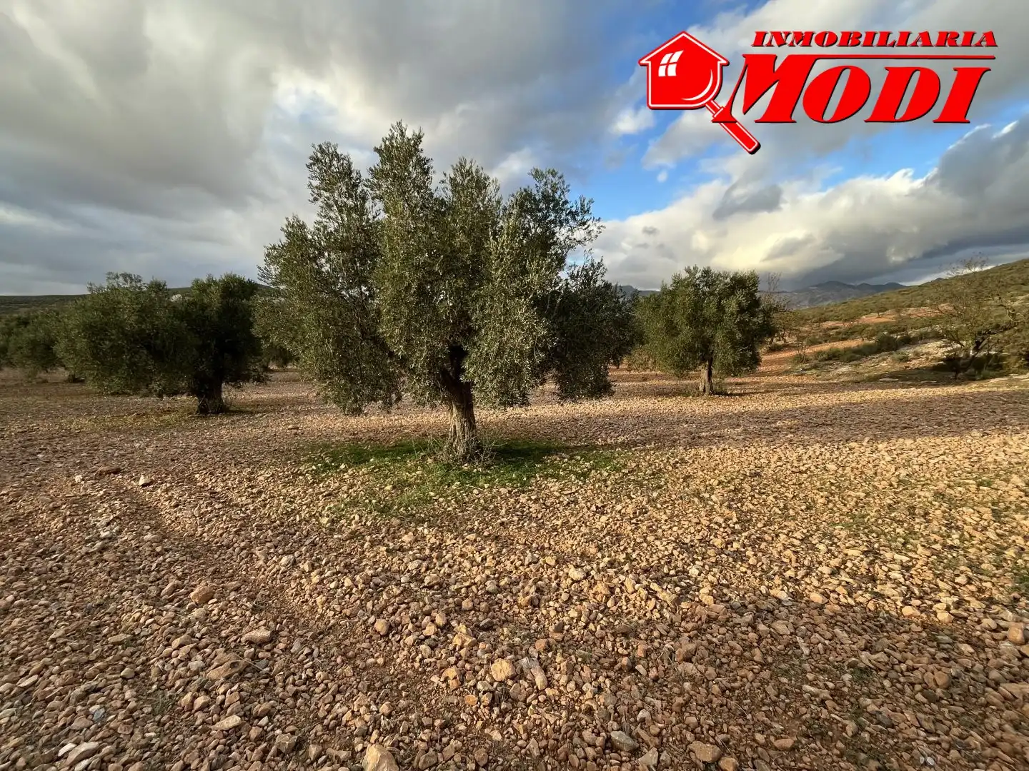 Terrenys i solars en venda a Villamena, imagen 11