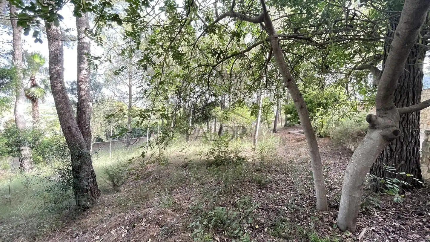 Finca rústica en venta en Carcaixent con Jardín privado, Terraza y Trastero