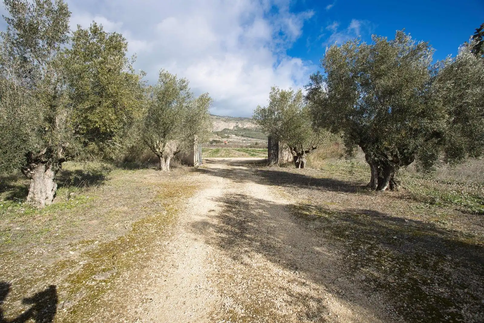 Houses for sale in Castalla  with Heating, Private garden and Terrace