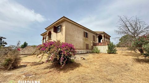 Foto 4 de Finca rústica en venta en Diseminados, 52, Villablanca, Huelva
