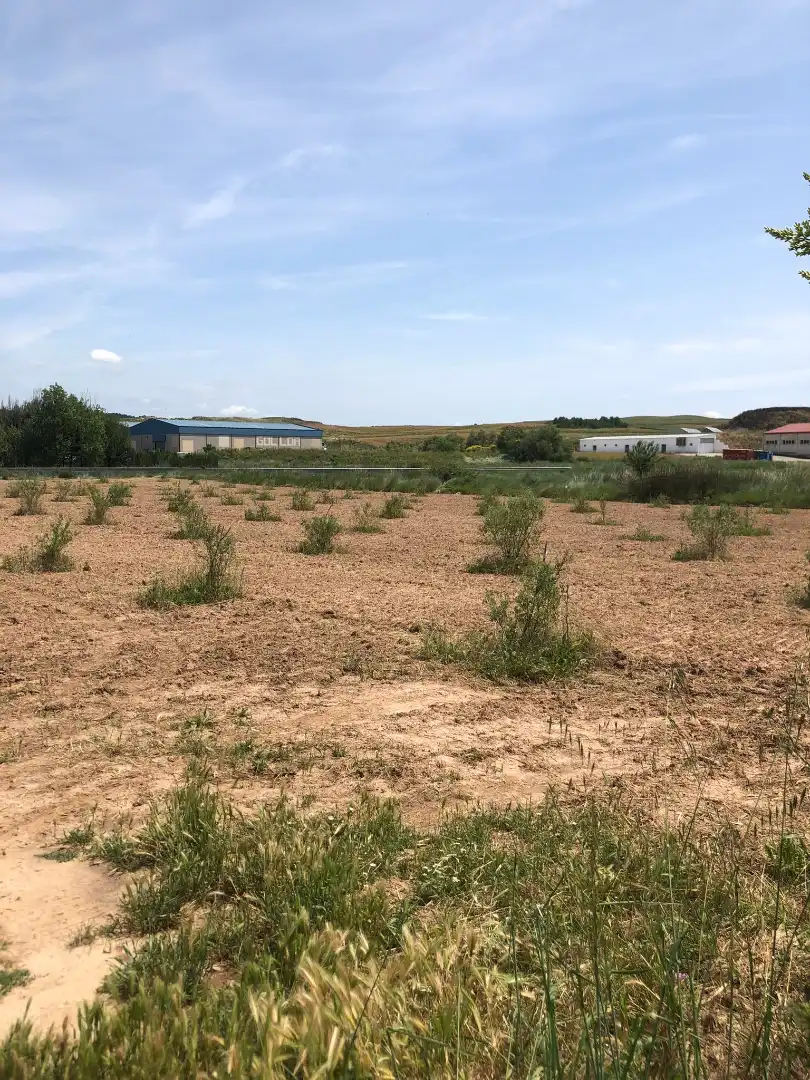 Terreny rústic en venda a Murillo de Río Leza, imagen 4