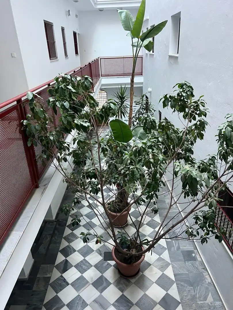 Wohnung zum Verkauf in La Caleta - La Viña, imagen 23