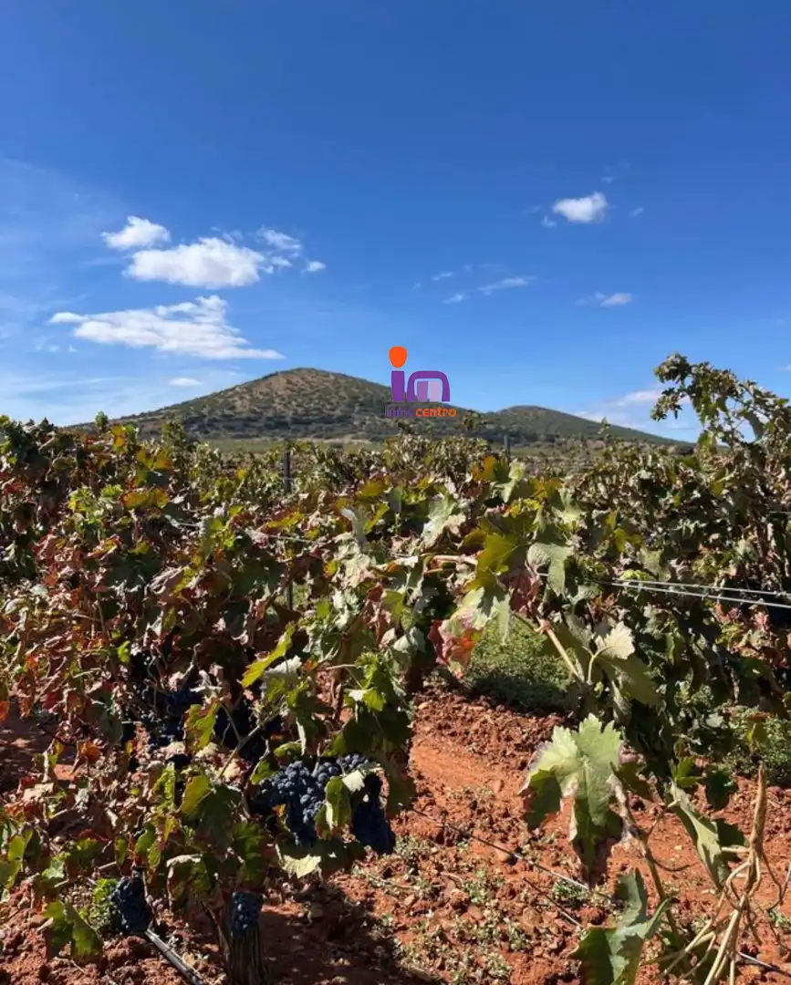 Finca rústica en venta en Granátula de Calatrava