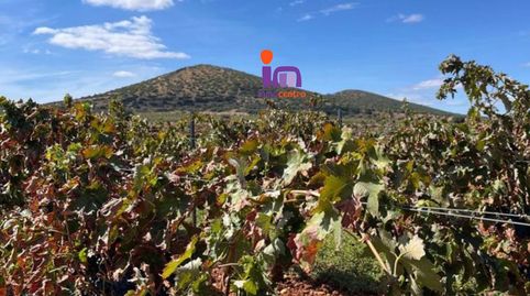 Foto 3 von Country house zum Verkauf in Granátula de Calatrava, Ciudad Real