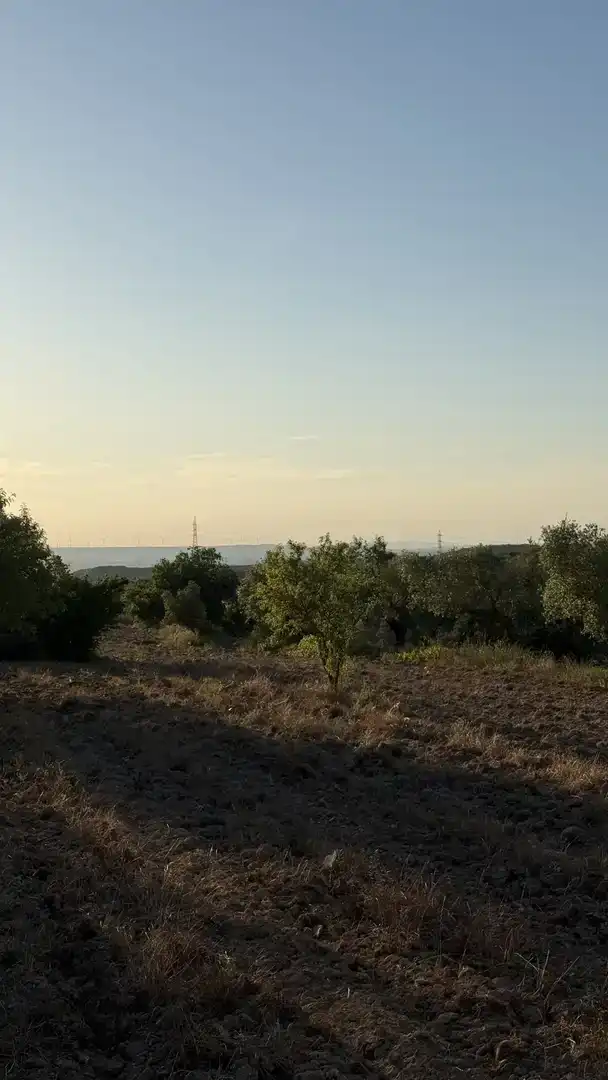 Finca rústica en venda en La Fatarella amb Jardí privat