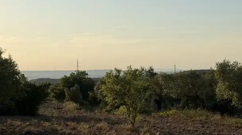 Foto 3 de Finca rústica en venda a Carrer Tancat, 17, La Fatarella, Tarragona