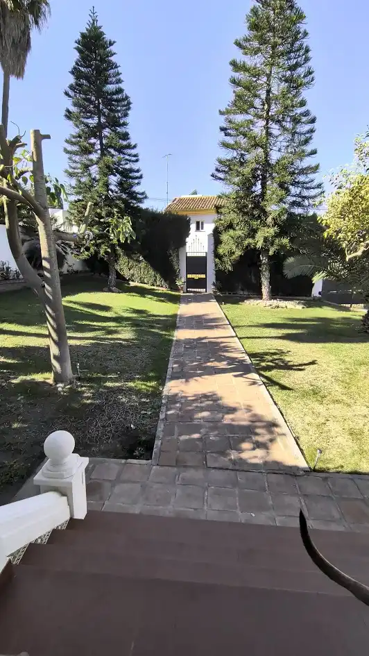 Chalet con terraza en venta en Calle Pajarete 20, imagen 7