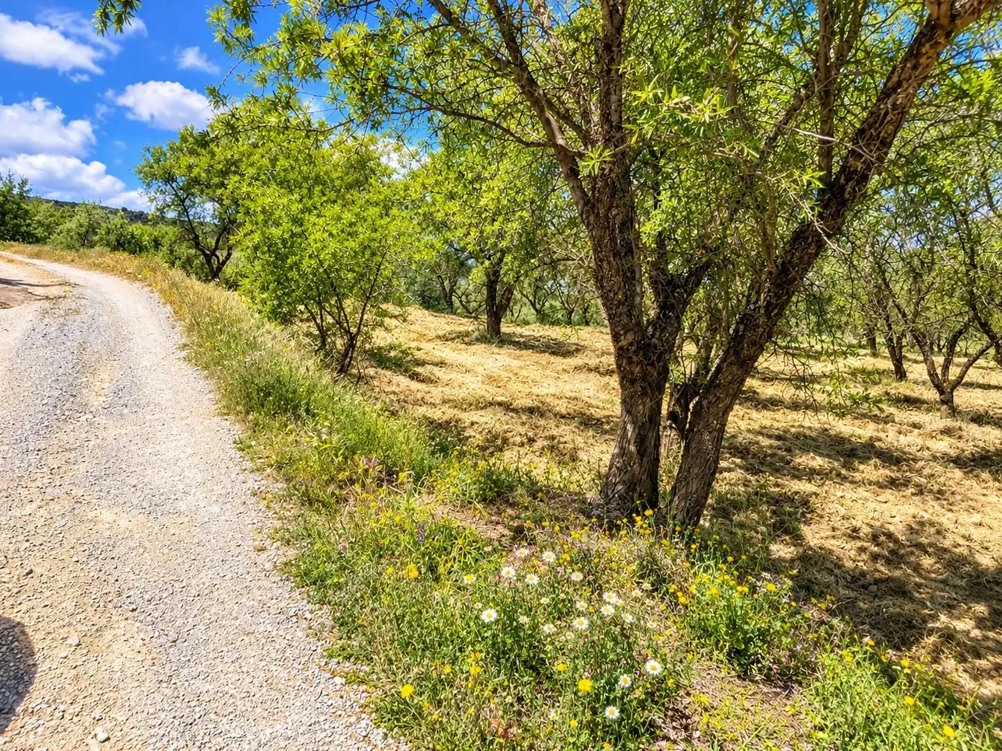Maison rustique avec jardin à vendre à Carretera Fuente del Lobo Poligono, imagen 18