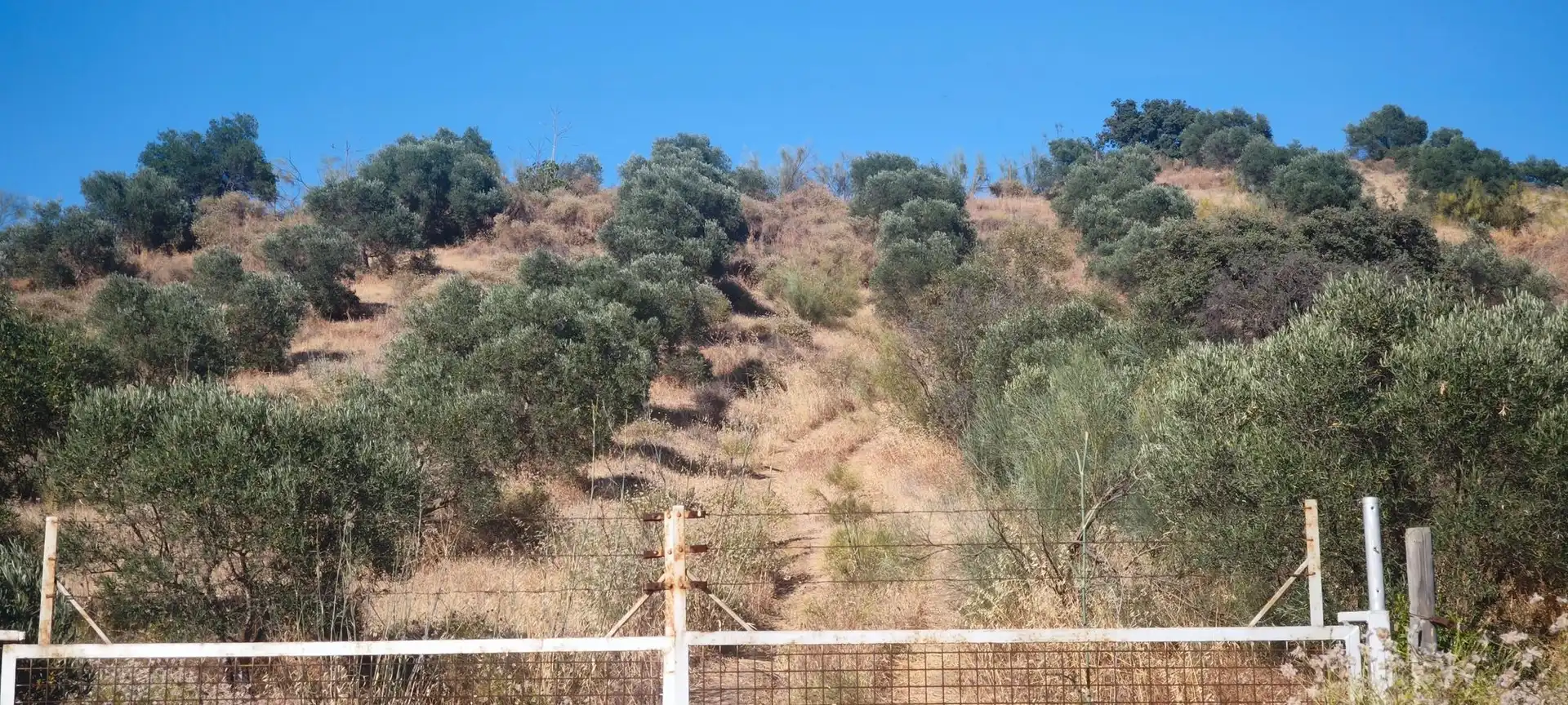Terreni e lotti in vendita a Álora, imagen 5