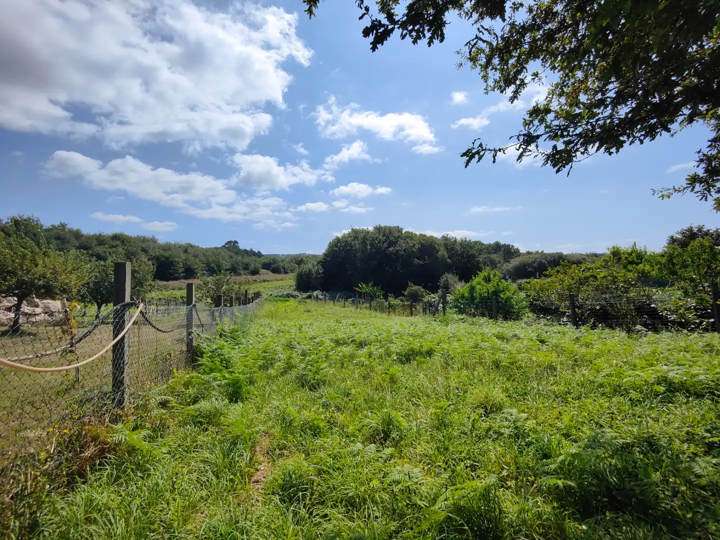 Residencial en venta en Rianxo