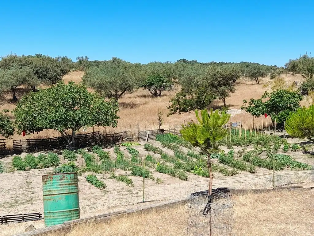 Casa o xalet en venda en San Vicente de Alcántara