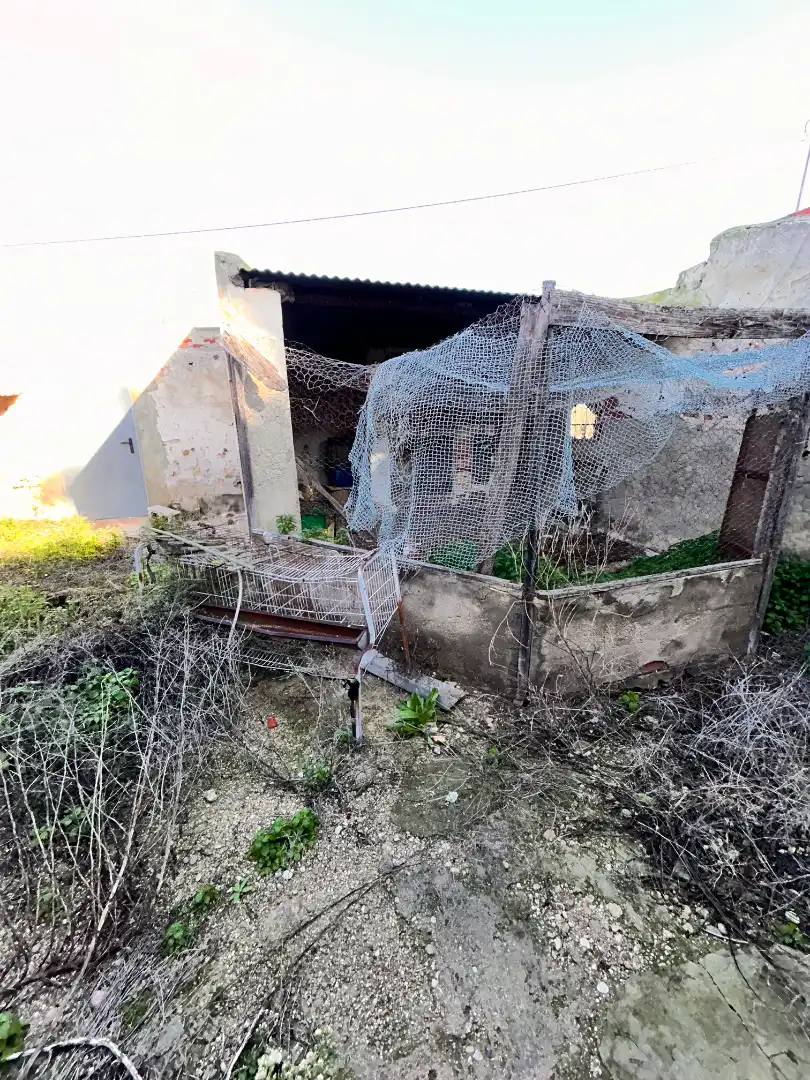 Vista exterior de Casa o xalet en venda en Elche / Elx amb Jardí privat i Moblat