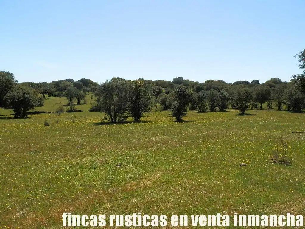 Terreno rustico in vendita a Ciudad Rodrigo, imagen 33