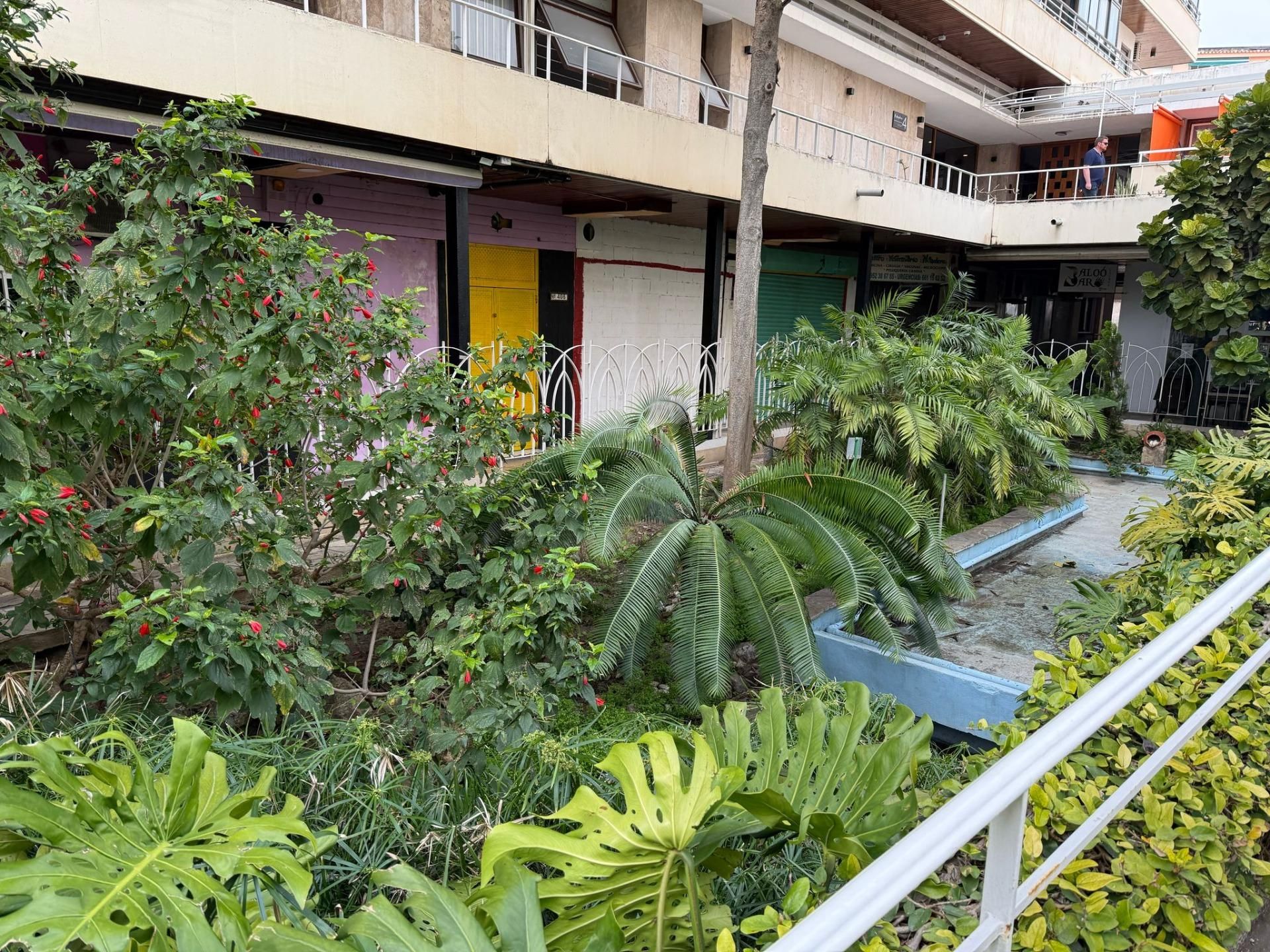 Vista exterior de Pis en venda en Torremolinos amb Aire condicionat, Calefacció i Piscina comunitària