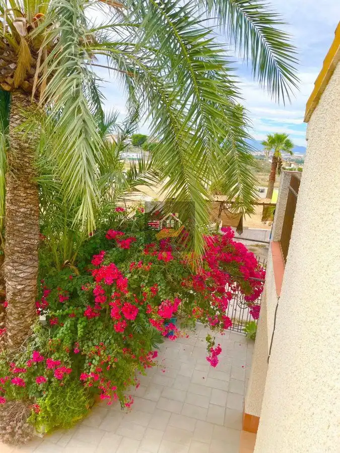 Terraza de Casa o chalet en venta en Molina de Segura con Terraza
