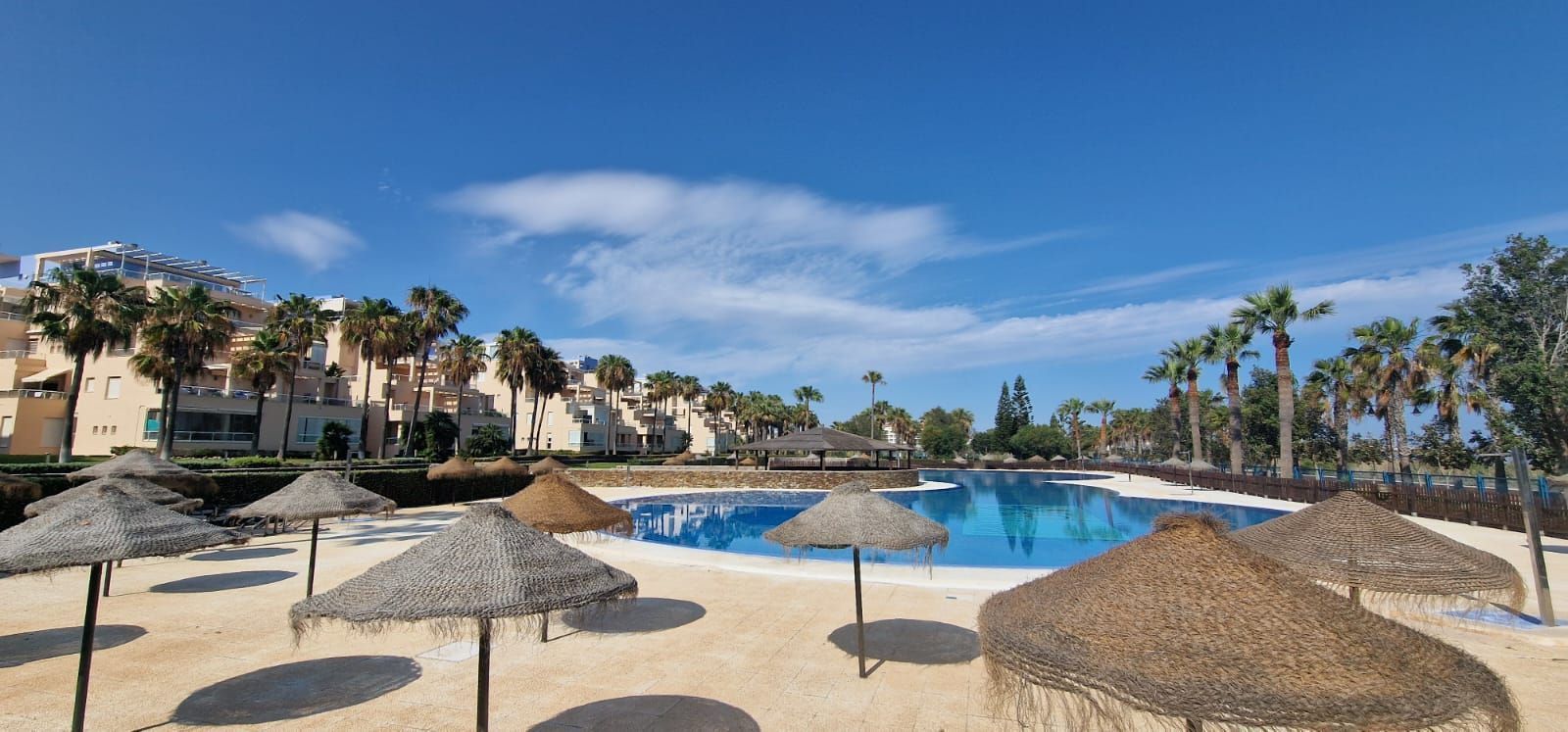 Swimming pool of Flat for sale in El Ejido