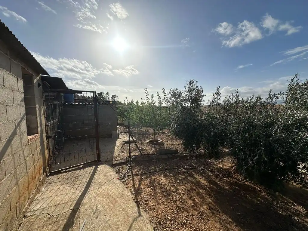 Casa o xalet en venda en Magacela amb Jardí privat, Terrassa i Piscina