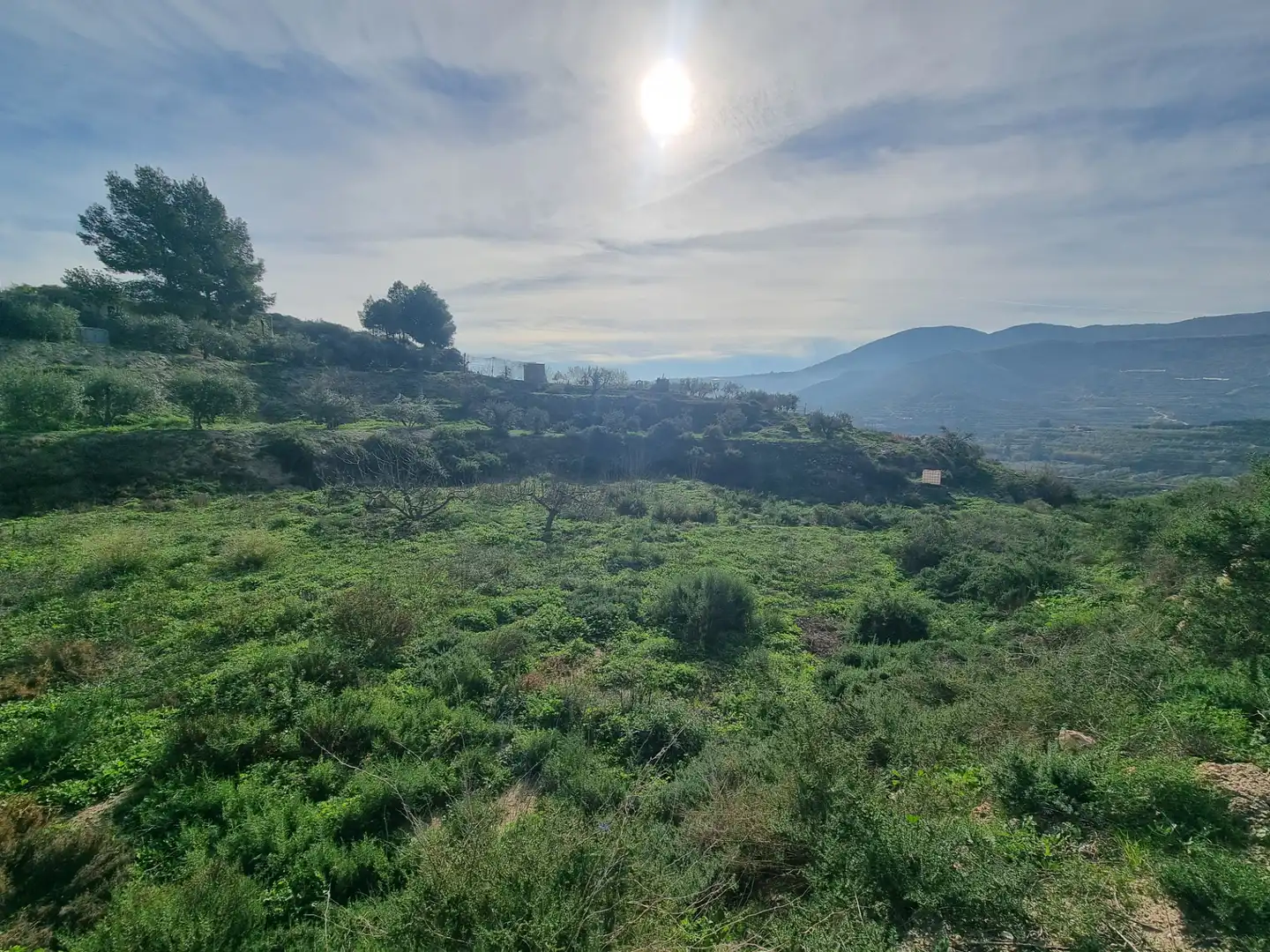 Rural land for sale in Terque, imagen 16