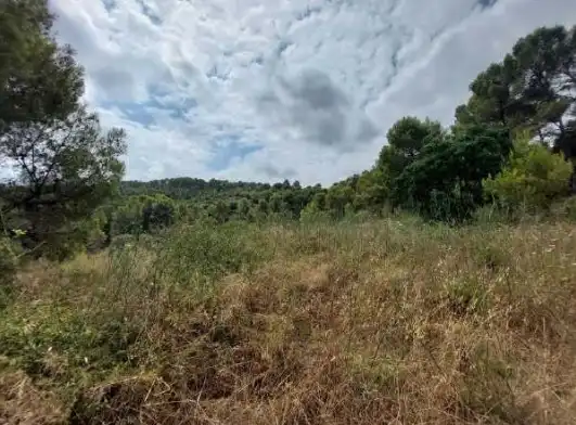 Land for sale in Orba
