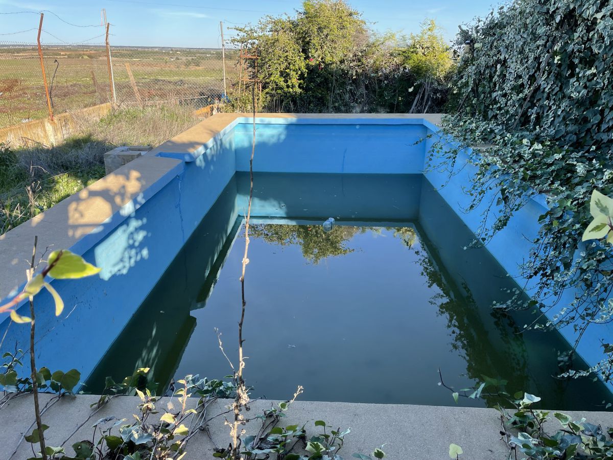 Piscina de Finca rústica en venda en Bollullos Par del Condado amb Terrassa