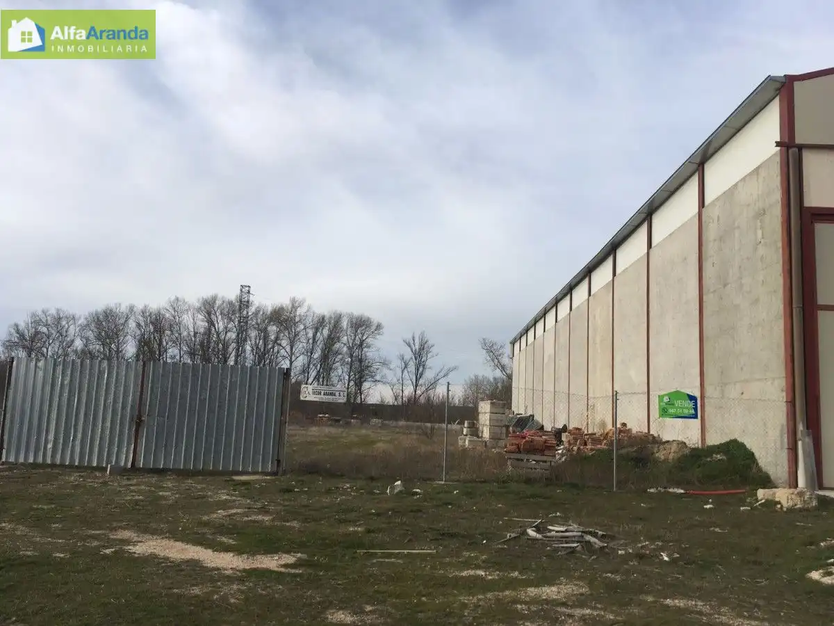 Terreni e lotti in vendita a Allendeduero