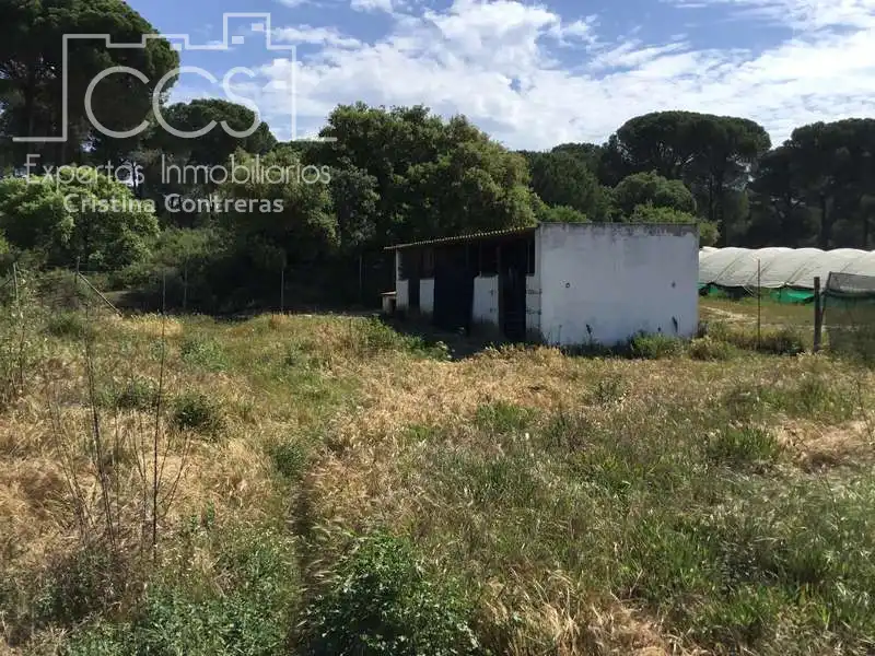 Finca rústica en venda en Almonte amb Terrassa i Moblat