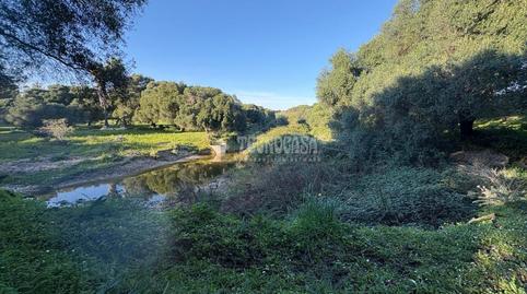 Foto 4 de Terreno en venta en Zahora, Barbate