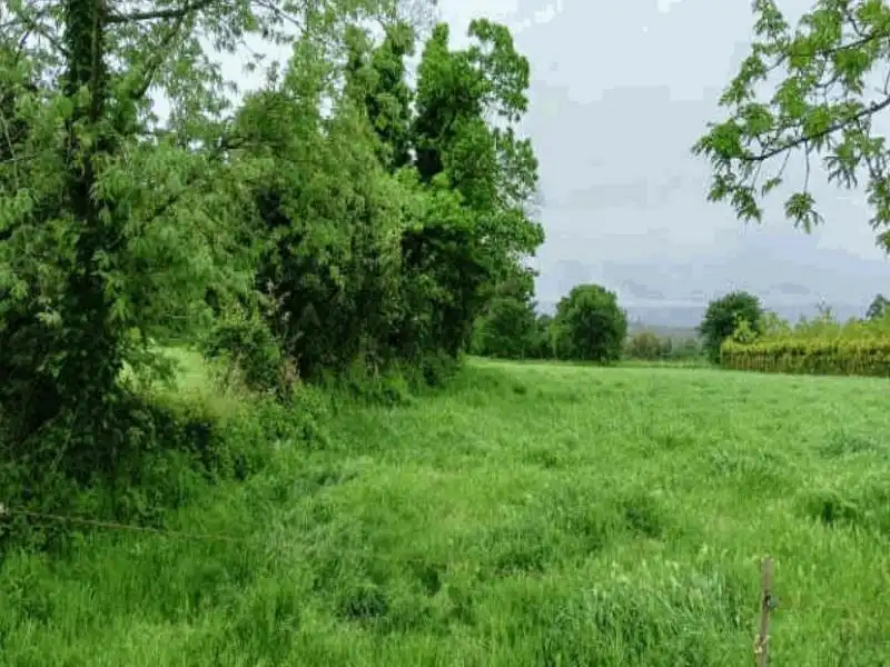 Rural land for sale in Santiso, imagen 2