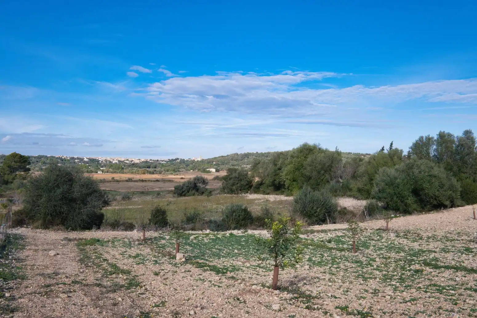 Haus zum Verkauf in Sineu - Carrer del Bisbe, imagen 29