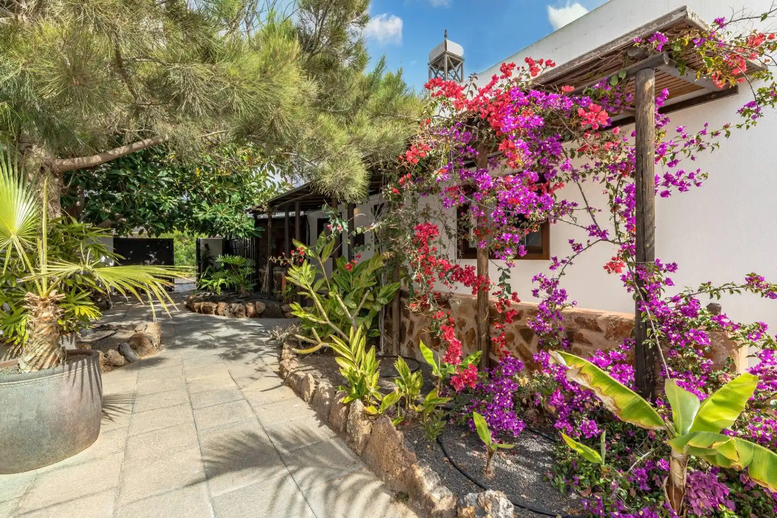 Jardín de Casa o chalet en venta en Guatiza