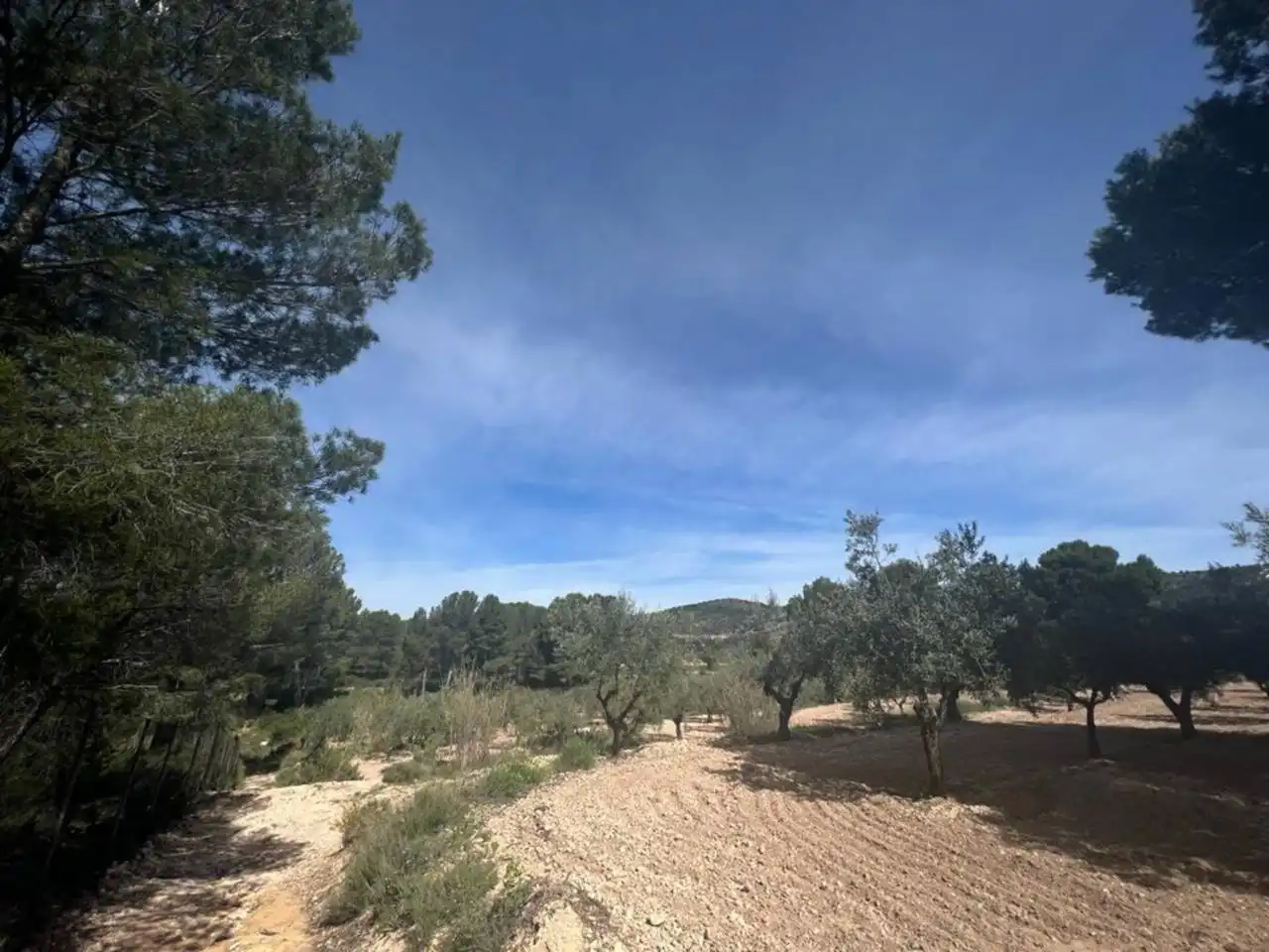 Chalet con jardín en venta en Calle Poligono, imagen 118