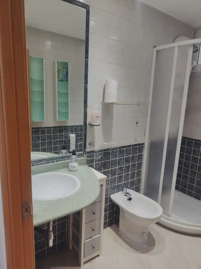 Bany de Apartament de lloguer en Zaragoza amb Calefacció, Parquet i Moblat