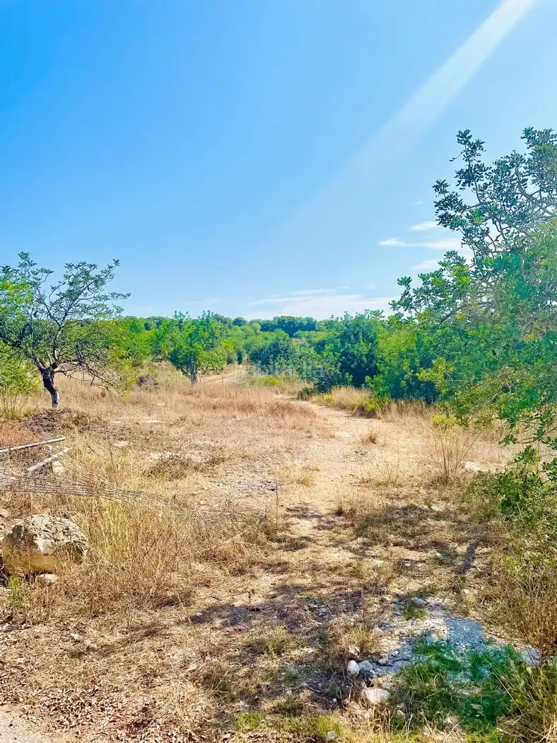 Rural land for sale in Calle Piscina 3305, imagen 10