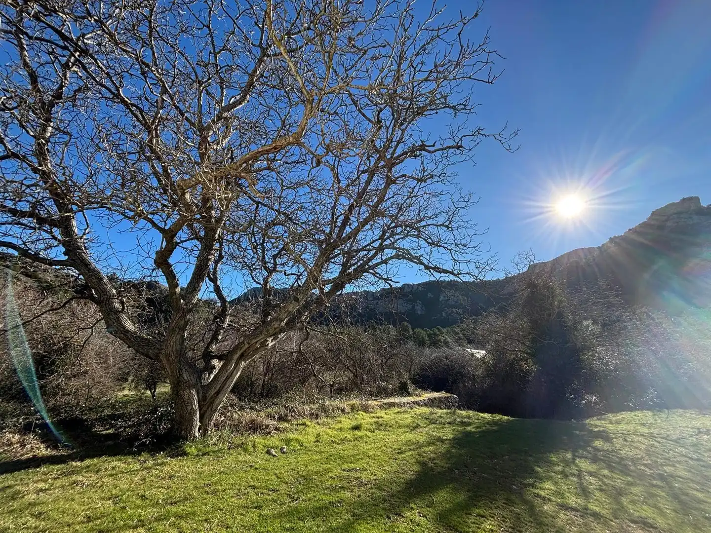 Casa en venta en Alfara de Carles, imagen 6