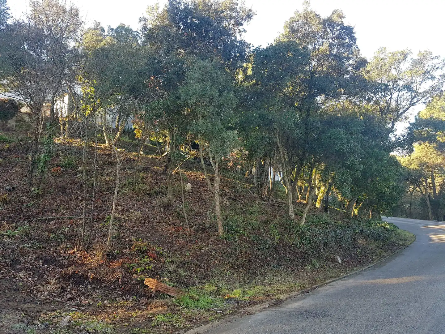 Terreno residencial en venta en Carrer del Pi Ric, imagen 5