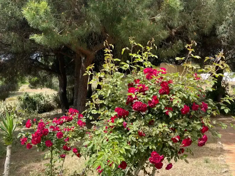 Jardín de Piso en venta en Isla Cristina con Aire acondicionado, Jardín privado y Trastero