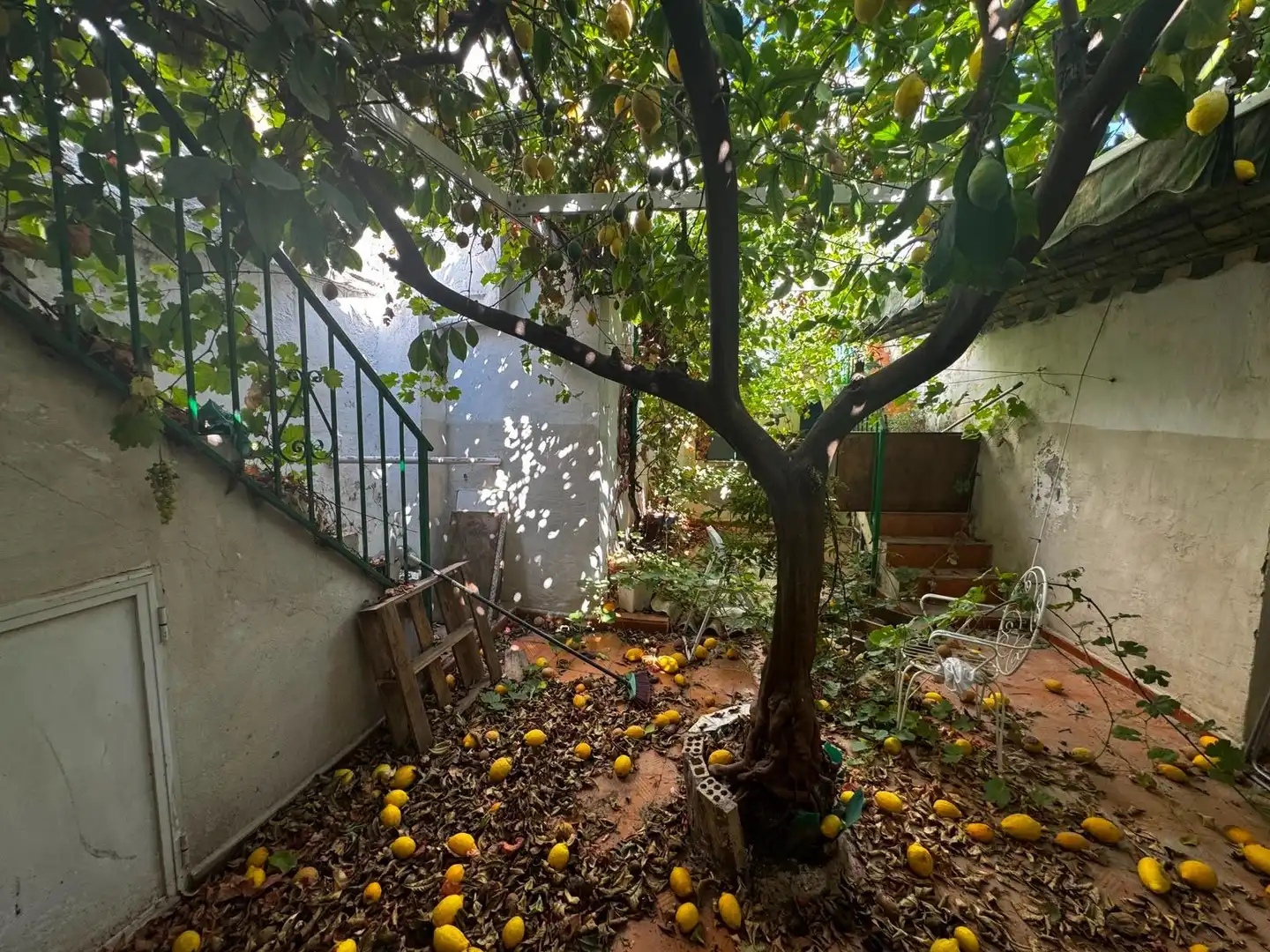 Jardí de Casa o xalet en venda en Morón de la Frontera
