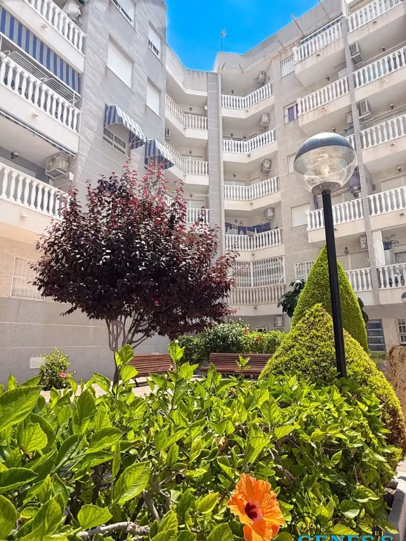 Vista exterior de Apartament en venda en Torrevieja amb Terrassa, Moblat i Forn