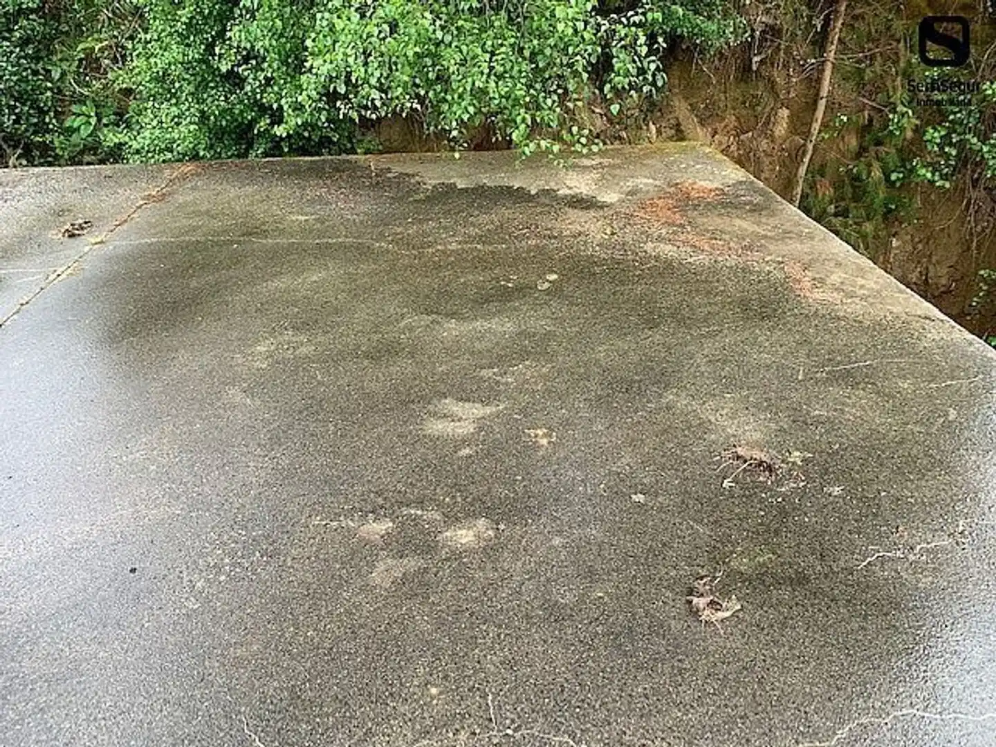 Vista exterior de Casa o xalet en venda en Arteixo amb Jardí privat i Terrassa