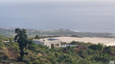 Foto 4 de Finca rústica en venda a A Cueva del Polvo, Alcalá, Santa Cruz de Tenerife