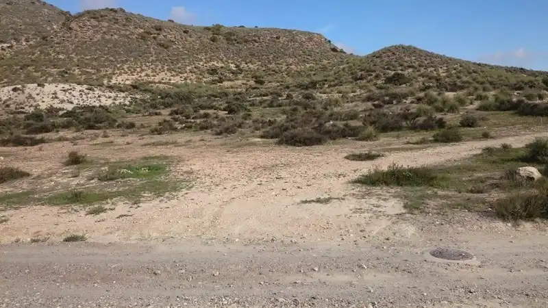 Terreny residencial en venda a Paraje Collado Del Almendro Barriada Polopos, imagen 3