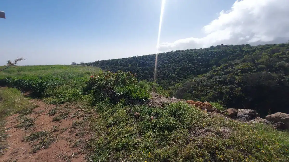 Terreno residencial en venta en Vilaflor de Chasna, imagen 3