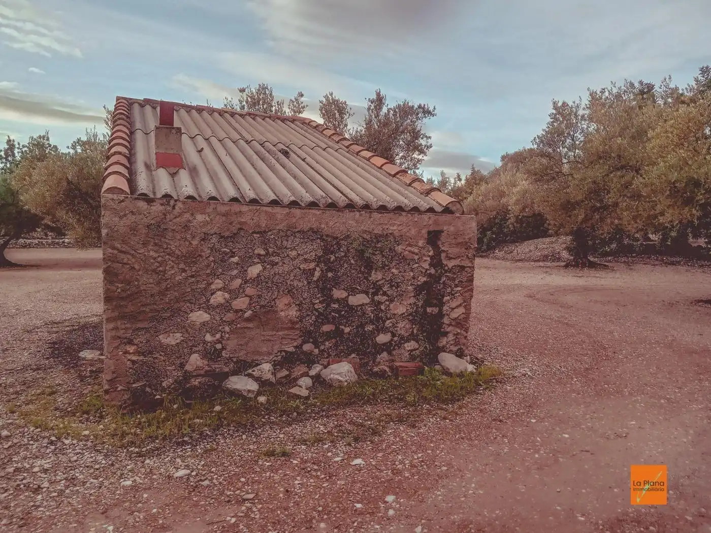 Vista exterior de Finca rústica en venta en Santa Bàrbara