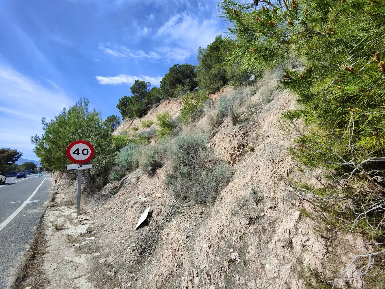 Terreno rustico in vendita a Calle Isla de Altea 4EC, imagen 3