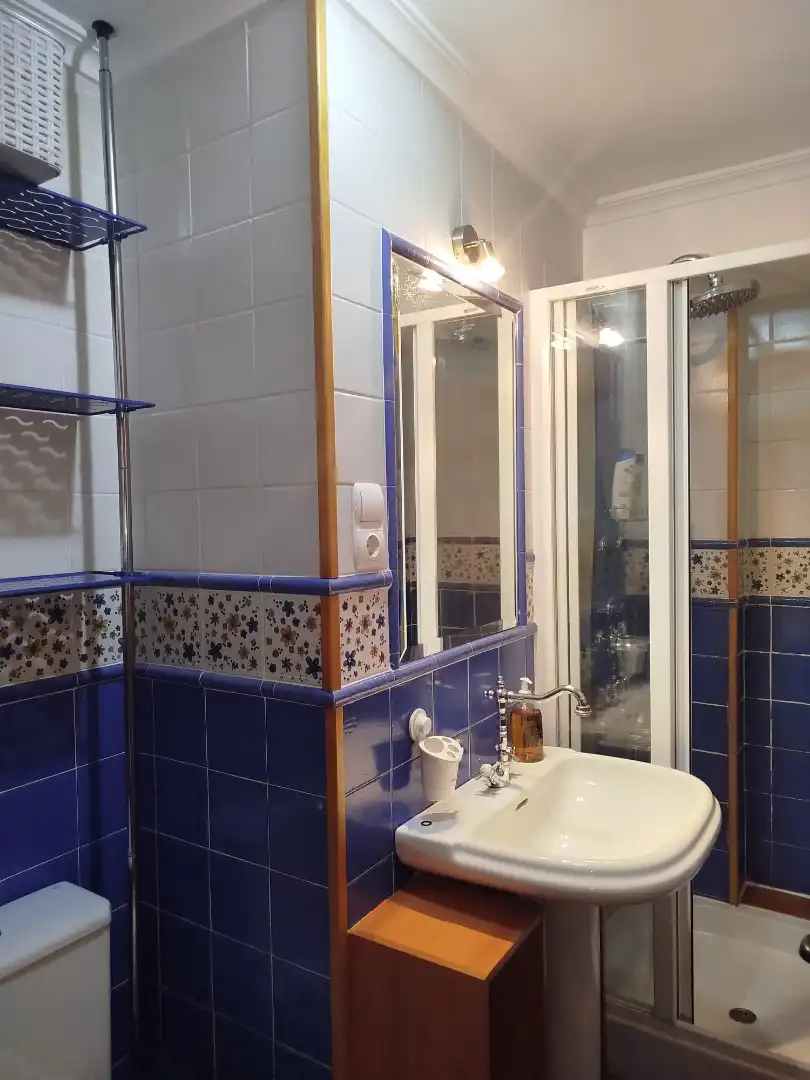Bathroom of Apartments for rent in Cuenca  with Air Conditioner, Heating and Furnished