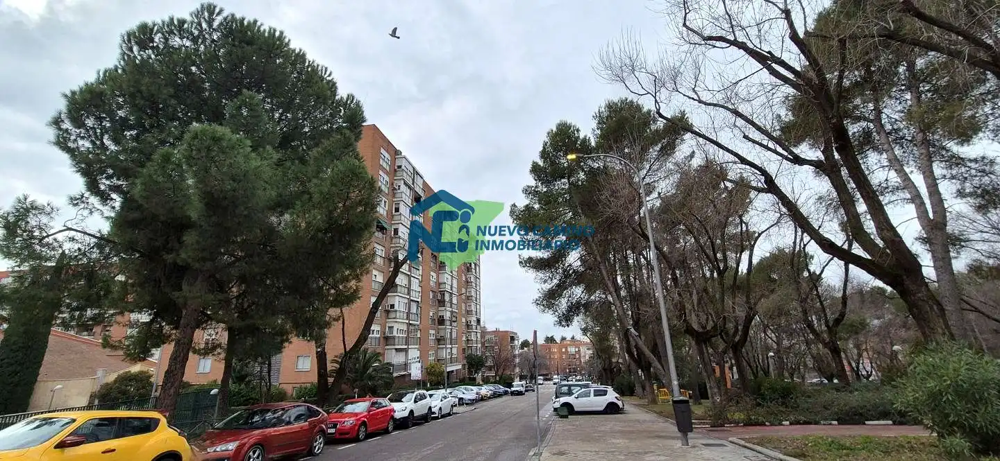 Planta baja en venta en Calle Virgen de las Viñas, 17, Santa Eugenia