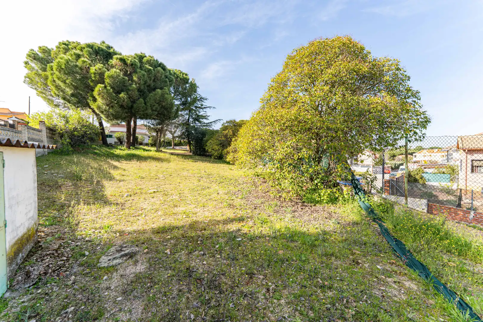 Residential land for sale in Calle de los Olivos, imagen 2