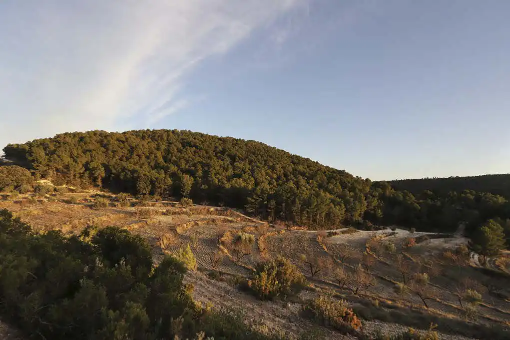 Casa rústica en venta en Torremanzanas / La Torre de les Maçanes, imagen 24