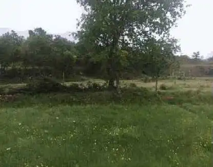 Land for sale in Viana do Bolo